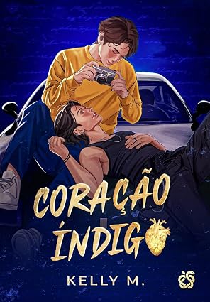 Baixar Livro Coracao Indigo em pdf